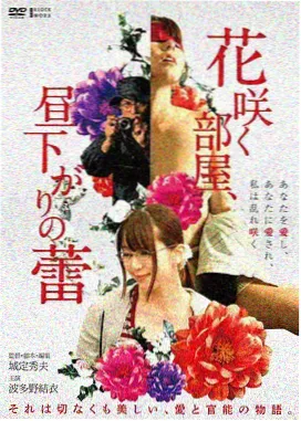 东京第七码头剧集封面